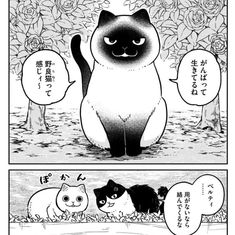 情報屋　ペルティ