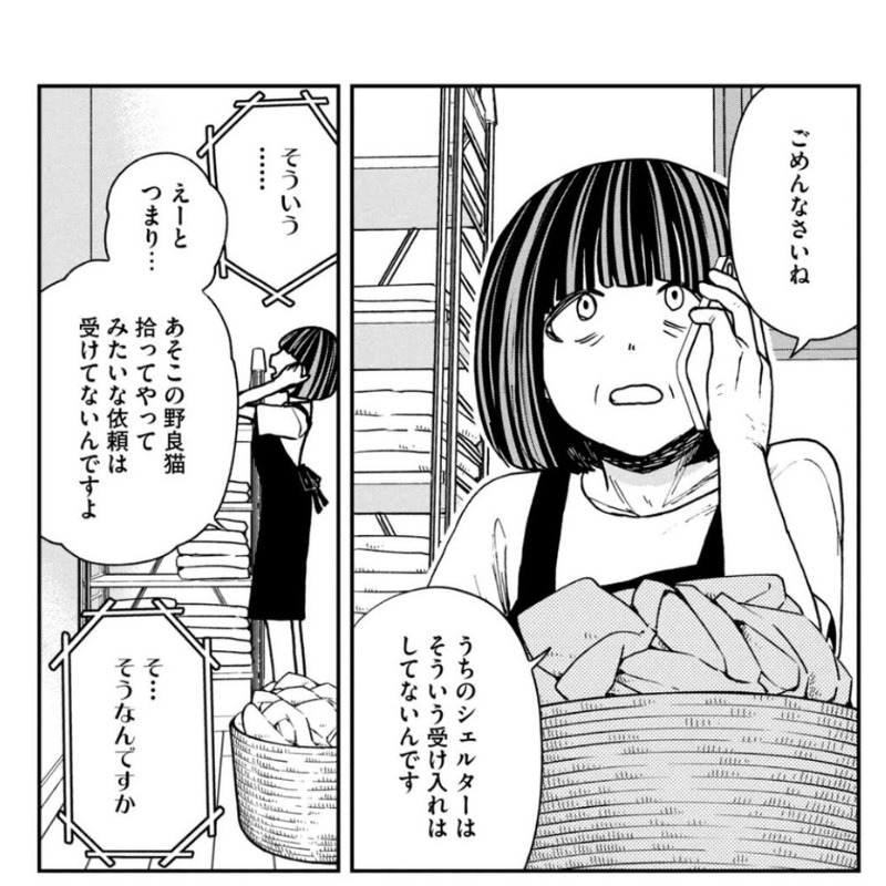 保護猫シェルター管理者　えり子