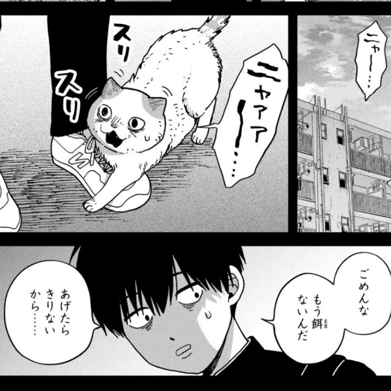 お腹をすかせた野良猫